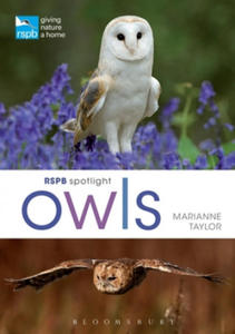 RSPB Spotlight Owls - 2873015405