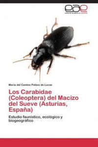 Carabidae (Coleoptera) del Macizo del Sueve (Asturias, Espana) - 2871612763