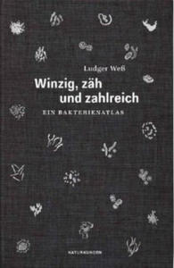 Winzig, zh und zahlreich - 2878087642