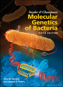 Snyder and Champness Molecular Genetics of Bacteria, 5th Edition - 2867759162