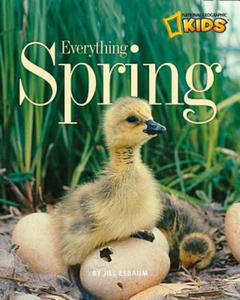 Everything Spring - 2873984943