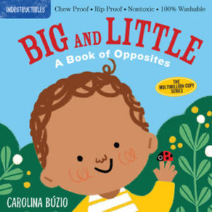 Indestructibles: Big and Little: A Book of Opposites - 2873323382