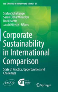 Corporate Sustainability in International Comparison - 2861937414