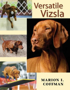 Versatile Vizsla - 2866660537