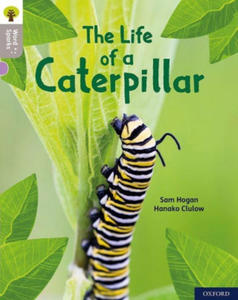 Oxford Reading Tree Word Sparks: Level 1: The Life of a Caterpillar - 2875666275