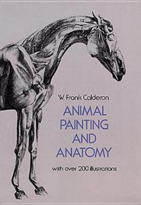 Animal Painting and Anatomy - 2856485309