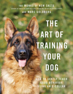 Art of Training Your Dog - 2869028622