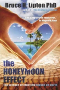 Honeymoon Effect - 2877397480