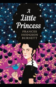 A Little Princess Illustrated - 2869768751