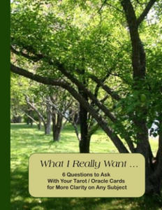 What I Really Want: 6 Questions to Ask With Your Tarot / Oracle Cards for More Clarity on Any Subject - 2862004127