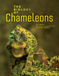 Biology of Chameleons - 2844163561