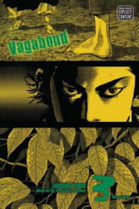 Vagabond (VIZBIG Edition), Vol. 3 - 2826642212