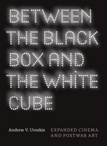 Between the Black Box and the White Cube - 2874070463