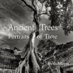 Ancient Trees - 2826696159