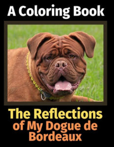 Reflections of My Dogue de Bordeaux - 2867153745