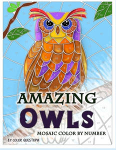 Amazing Owls Mosaic Color by Number - 2872884218