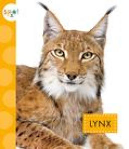 Kniha Lynx - 2875135290