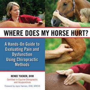 Where Does My Horse Hurt? - 2878615332