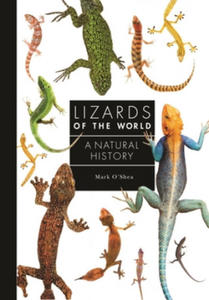 Lizards of the World: A Guide to Every Family - 2861997699