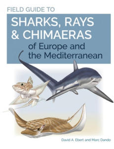 Field Guide to Sharks, Rays & Chimaeras of Europe and the Mediterranean - 2861913719