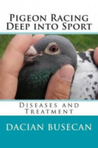 Pigeon Racing Deep into Sport - 2873902347