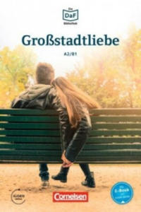 Grossstadtliebe - Geschichten aus dem Alltag der Familie Schall - 2863205220