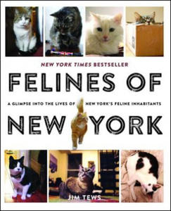 Felines of New York - 2875909971