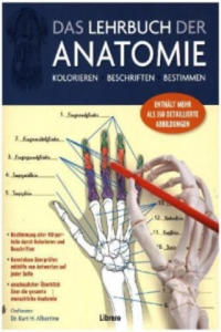 Das Lehrbuch der Anatomie - 2878429150