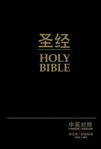 Chinese/English Bible-PR-FL/NIV - 2874073041