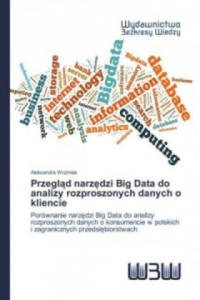 Przeglad narz_dzi Big Data do analizy rozproszonych danych o kliencie - 2877623198
