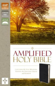 Amplified Holy Bible, Bonded Leather, Black - 2852751115