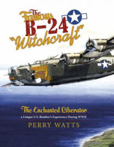 Famous B-24 "Witchcraft": The Enchanted Liberator - a Unique U.S. Bombers Experience During WWII - 2878305535