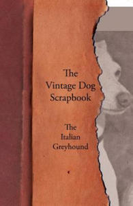 Vintage Dog Scrapbook - The Italian Greyhound - 2871606884