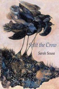 Split the Crow - 2878626145