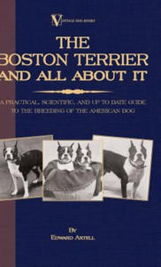 Boston Terrier And All About It - A Practical, Scientific, And Up To Date Guide To The Breeding Of The American Dog (A Vintage Dog Books Breed Classic - 2872202144