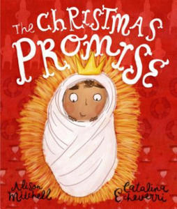 The Christmas Promise Storybook - 2872121981