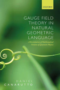 Gauge Field Theory in Natural Geometric Language - 2877625102