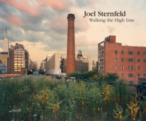 Joel Sternfeld: Walking the High Line - 2876228688