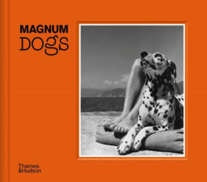 Magnum Dogs - 2878288952