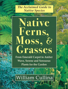 Native Ferns, Moss, and Grasses - 2867168553