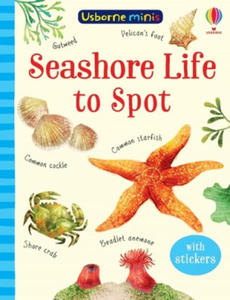 Seashore Life to Spot - 2862231996