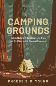 Camping Grounds - 2878438581