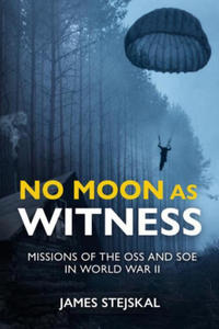 No Moon as Witness - 2878789683