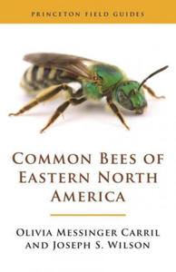 Common Bees of Eastern North America - 2868262428