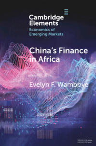 China's Finance in Africa - 2873787483