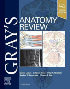 Gray's Anatomy Review - 2872339124