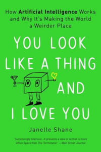 You Look Like a Thing and I Love You: How Artificial Intelligence Works and Why It's Making the World a Weirder Place - 2876542804