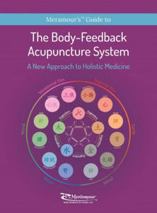 Body-Feedback Acupuncture System - 2867100616