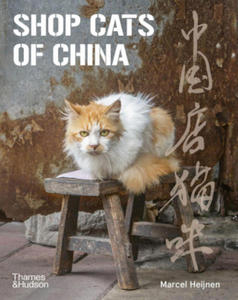 Shop Cats of China - 2867595641