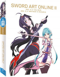 Sword Art Online II - Arc 2 & 3 : Calibur & Mother's Rosario - Edition Premium DVD - 2872729699